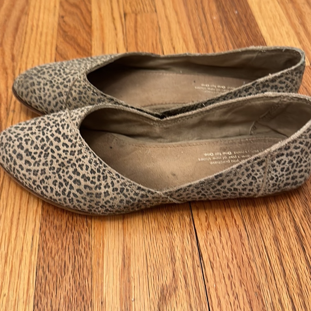 TOMS flats - Picture 3 of 5